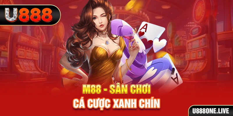 jollibee gà chọi cậu thanh