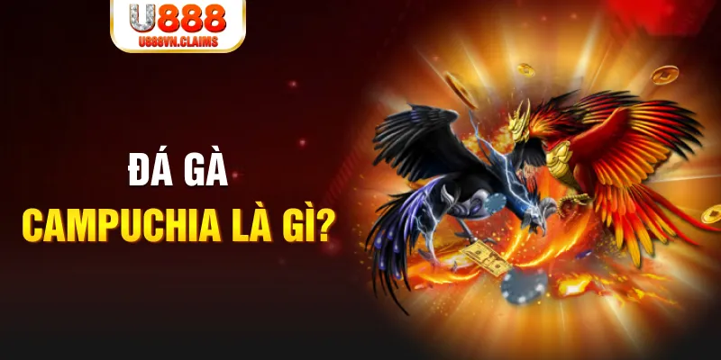 jollibee xổ số miền nam thứ sáu