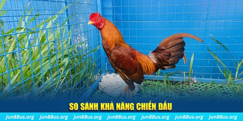 jollibee xổ số tiền giang