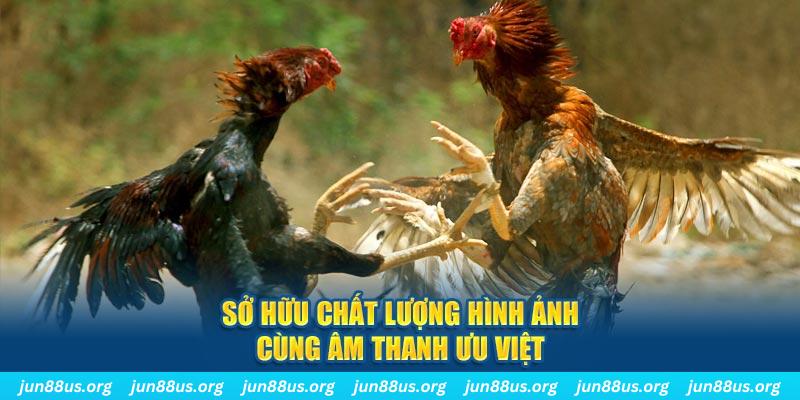 jollibee tai game danh bai ve may tinh