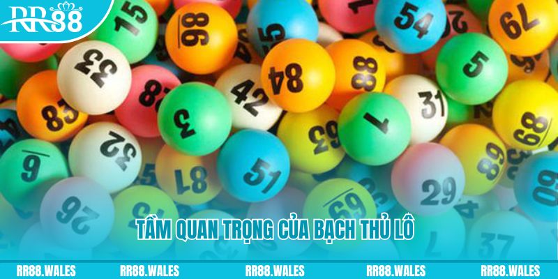 jollibee đá gà trực tiếp casino