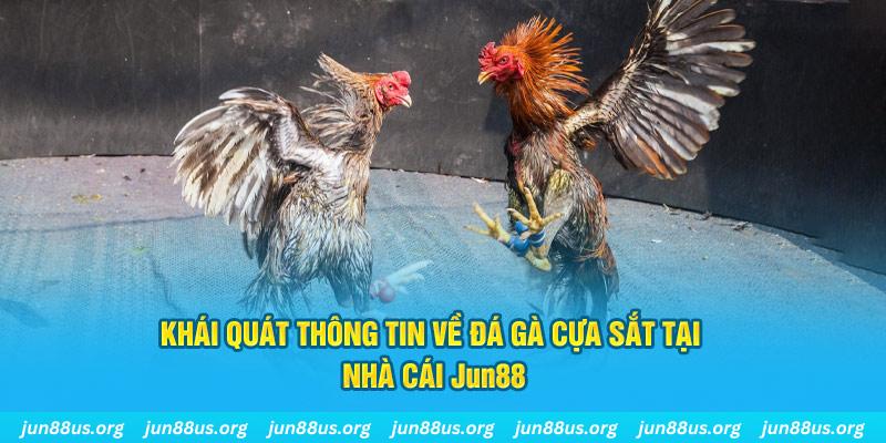 jollibee game bài trên máy tính