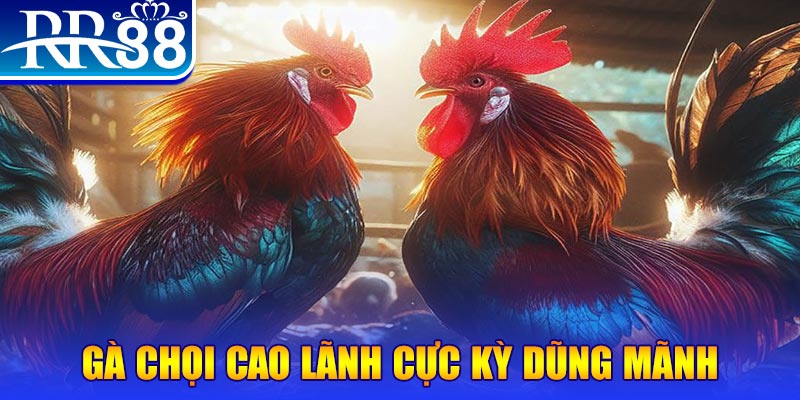 jollibee natural” trong baccarat nghĩa là gì？